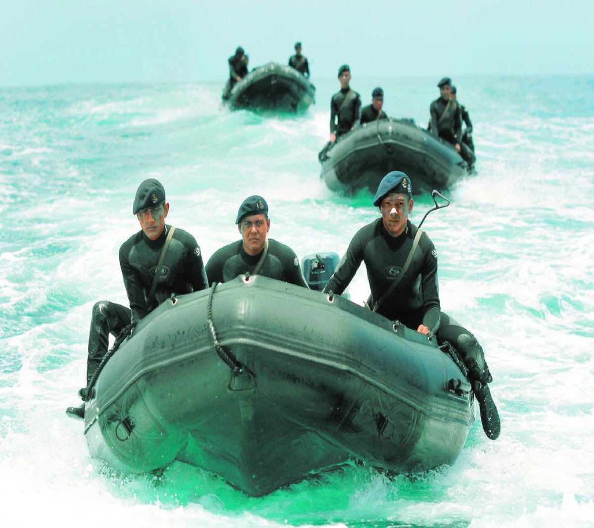 Fuerza Naval, 2009