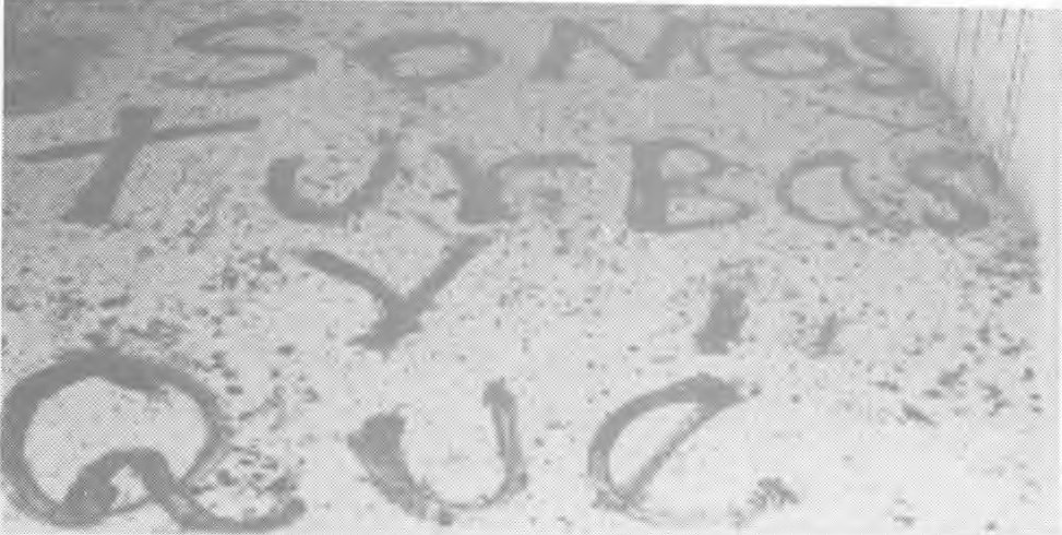 Pintada en el suelo con las palabras «Somos turbas y qué»