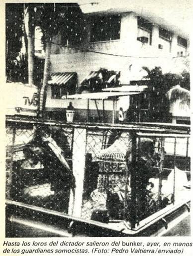 Recorte de prensa: edificio con rejas; el pie de foto dice que los loros del dictador salieron del búnker en manos de guardias somocistas